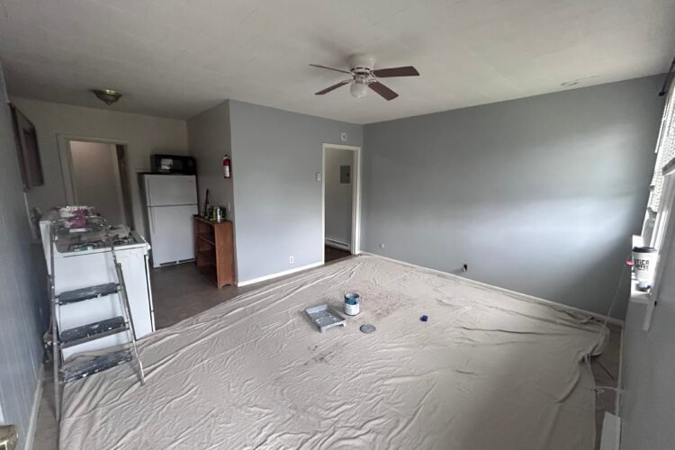 Why Professional Painting Revitalizes Your Living Space